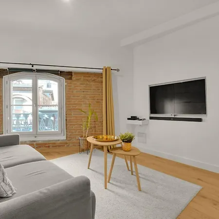 Le Floral - Cosy Climatise Avec Parking Prive Et Netflix * Toulouse