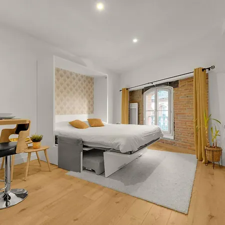 Le Floral - Cosy Climatise Avec Parking Prive Et Netflix Toulouse
