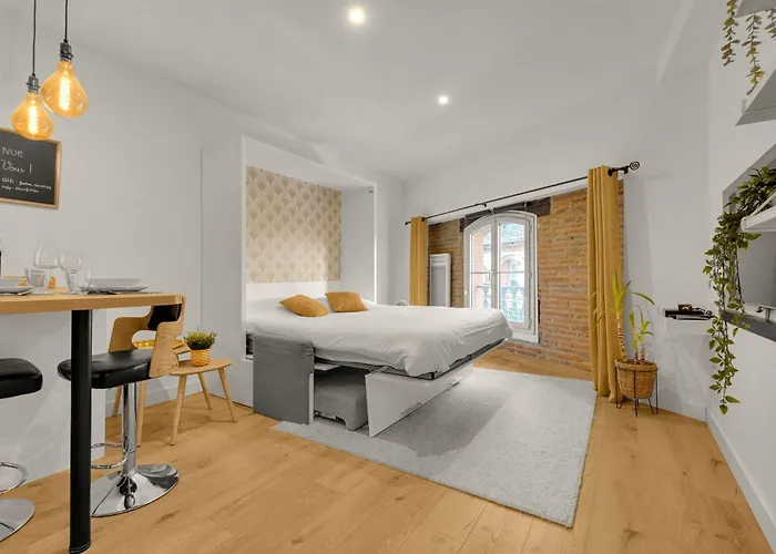 Le Floral - Cosy Climatise Avec Parking Prive Et Netflix Toulouse