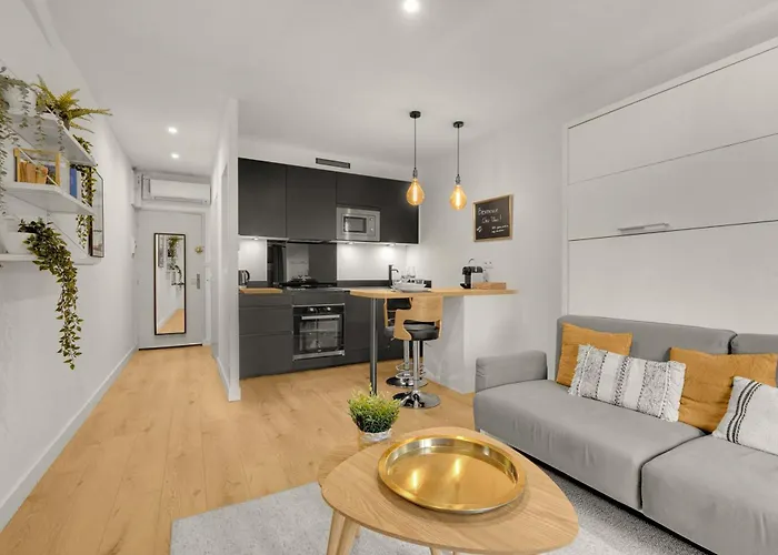 Apartamento Le Floral - Cosy Climatise Avec Parking Prive Et Netflix *