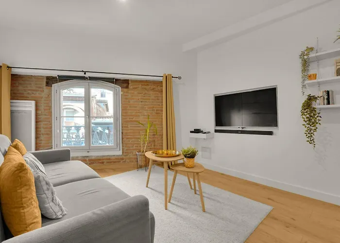 Le Floral - Cosy Climatise Avec Parking Prive Et Netflix * Toulouse